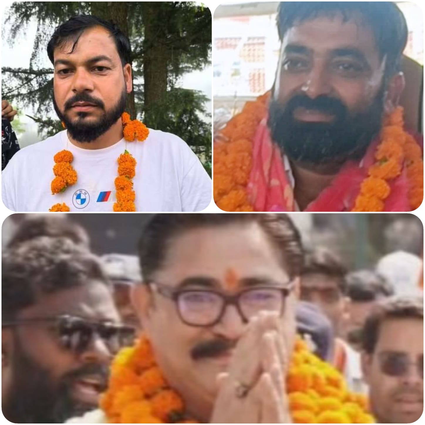 शहरी निकाय चुनाव में भाजपा से आगे निर्दलीय